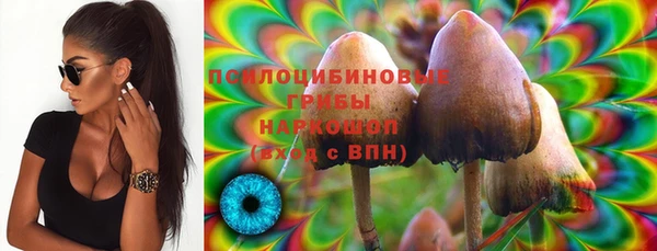 тгк Абинск