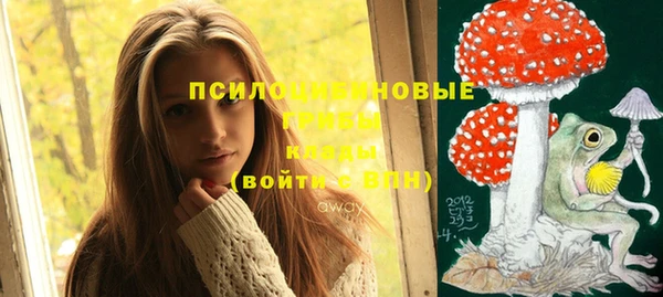 тгк Абинск